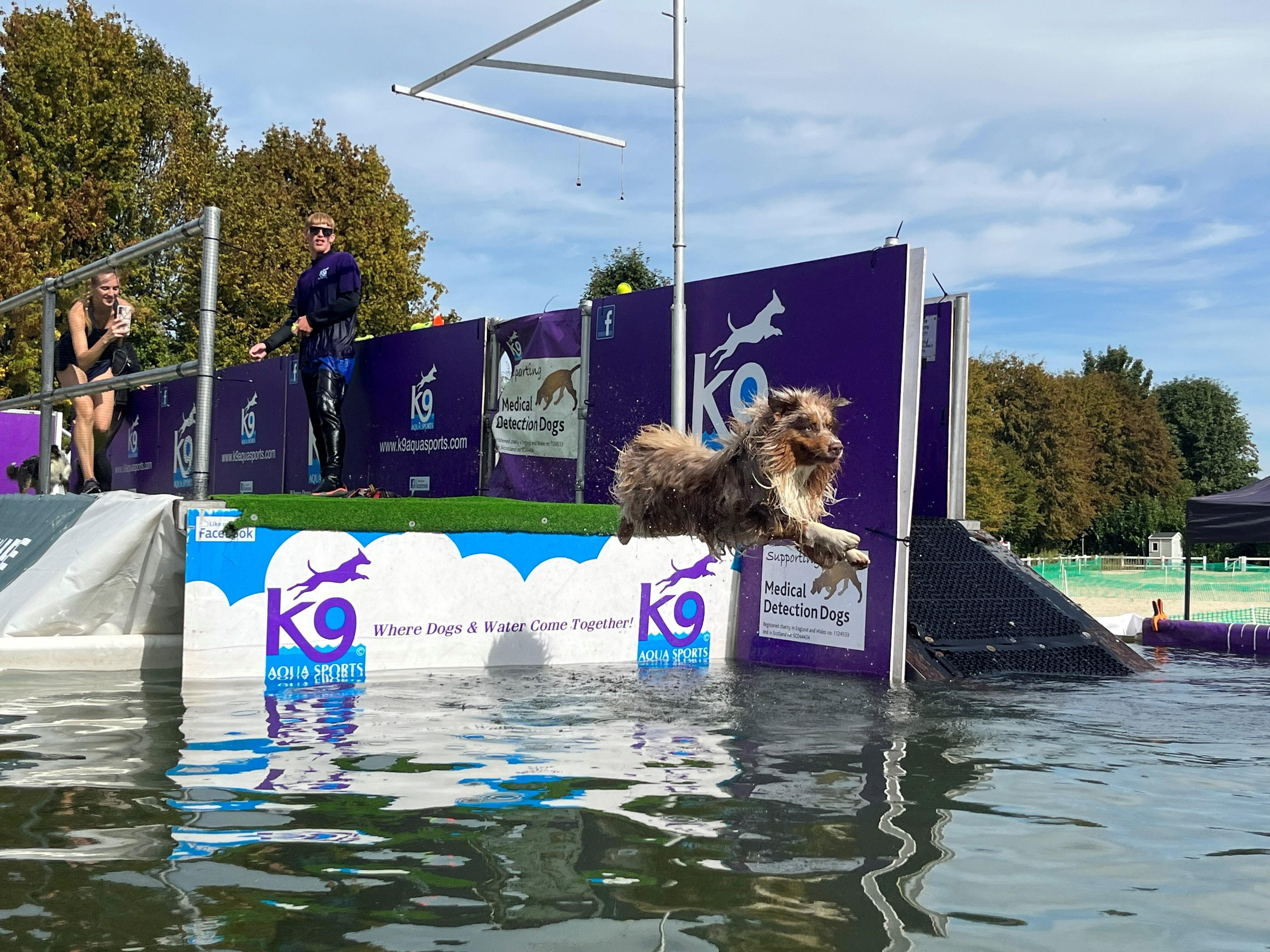 Parmi la vingtaine d'activités proposées pour les chiens, on trouve le woof jump, qui consiste à sauter d'un quai dans l'eau, la piscine à bulles ou le paddle. LP/Patrick Caffin