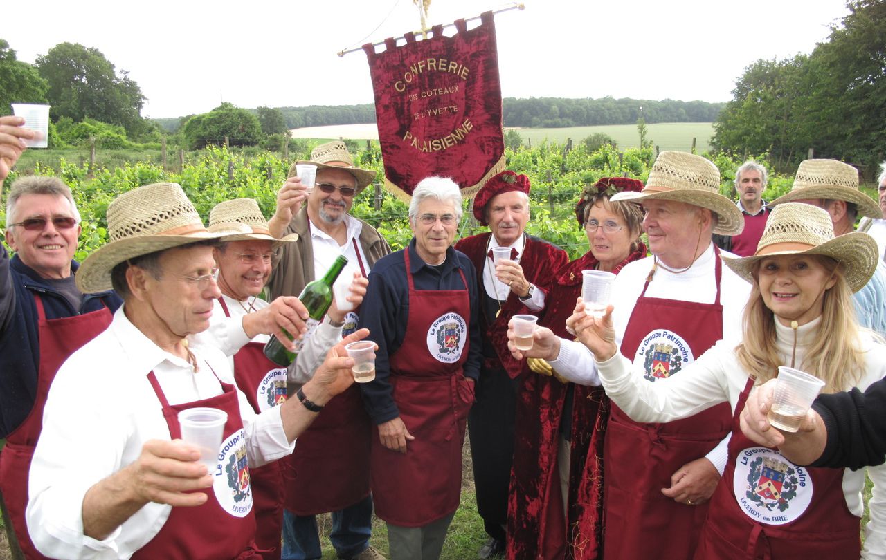 <b></b> Liverdy-en-Brie, juin 2010. Le Groupe Patrimoine entretient et exploite le vignoble de Liverdy-en-Brie depuis de nombreuses années. 