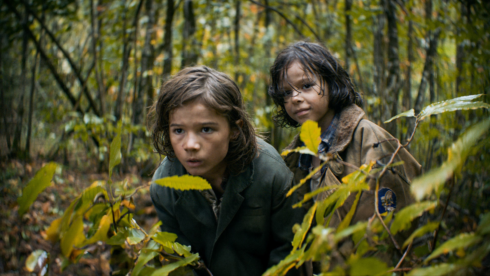 « Frères » raconte la vie des tout jeunes Patrice et Michel (respectivement 5 et 3 ans) dans un bois de Charente-Maritime après s'être enfuis d'un centre de colonies de vacances. Quad/Traveling Angel Films/Zinc