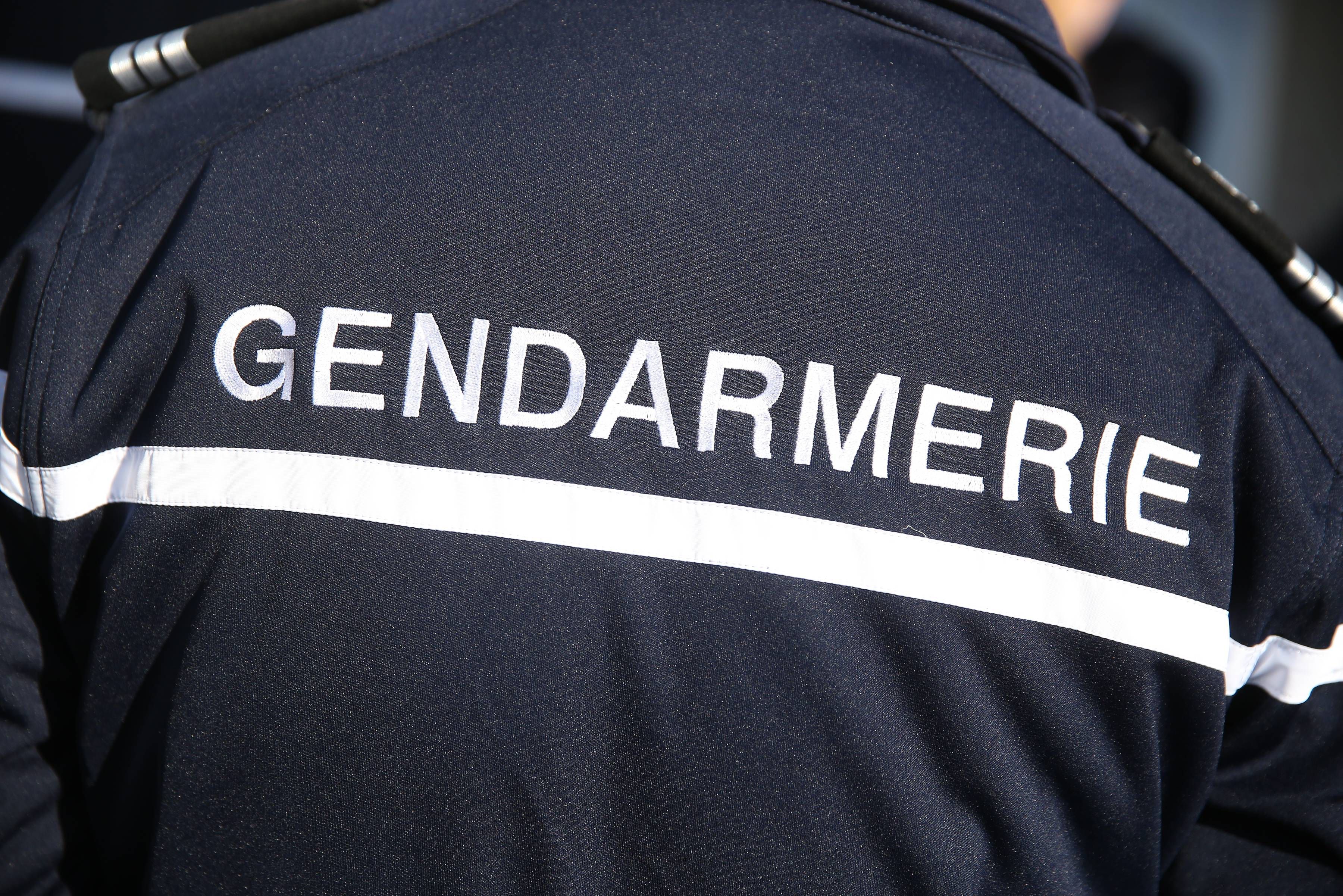 Le tueur présumé a lui-même fait appeler la gendarmerie. (illustration) LP/Arnaud Journois
