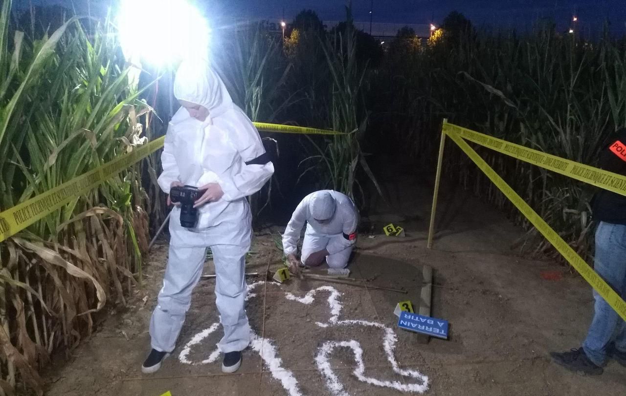 <b></b> Lieusaint. Une « nuit du crime » est organisée au labyrinthe végétal de Sénart.