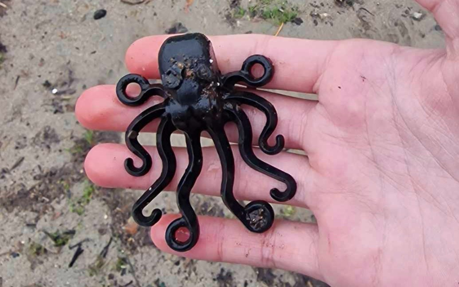 Liutauras Cemolonskas, jeune garçon de 13 ans, a trouvé une pieuvre Lego noire sur la plage de Marazion, ville de Cornouailles en Angleterre. Capture d'écran Facebook / Lego Lost At Sea.