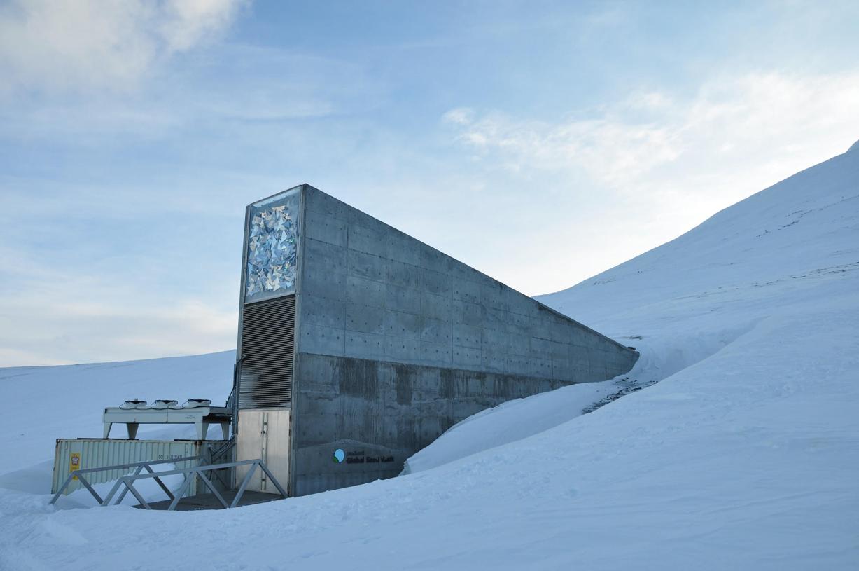 Le mystérieux bunker de graines de Svalbard livre ses secrets dans