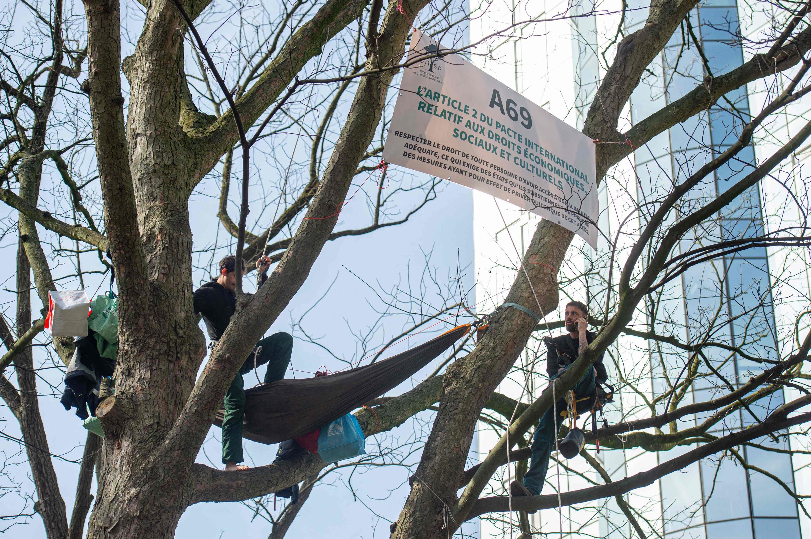 Trois militants écologistes ont grimpé dans un arbre face à la Cour européenne des droits de l'Homme à Strasbourg pour protester contre le projet d'autoroute A69. AFP/JONAS ROOSENS