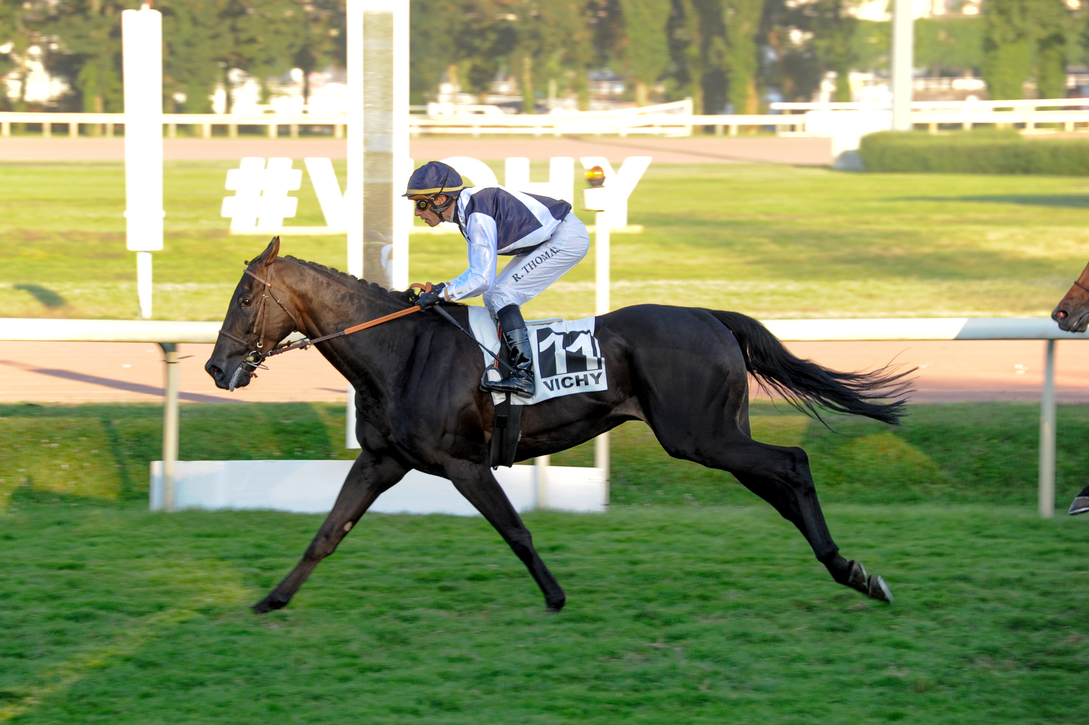 Hippisme : les résultats PMU du jour et les pronostics Turf sur Le Parisien