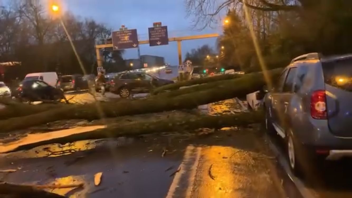 Reims, mardi 2 janvier 2024. À cause de la tempête, des arbres se sont couchés sur la route au niveau de l'entrée de la traversée urbaine. LP/Marie Blanchardon