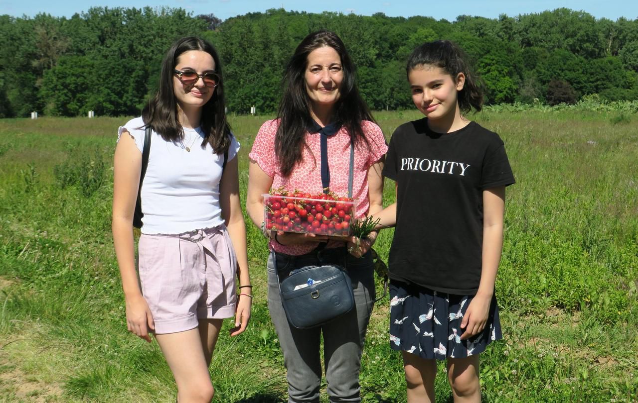 <b></b> La Queue-en-Brie, mercredi 20 mai. Déconfinées, Isabelle et ses filles Célia et Jade ont profité du bon air et du soleil en venant cueilli cerises et ciboulette aux Vergers de Champlain. 