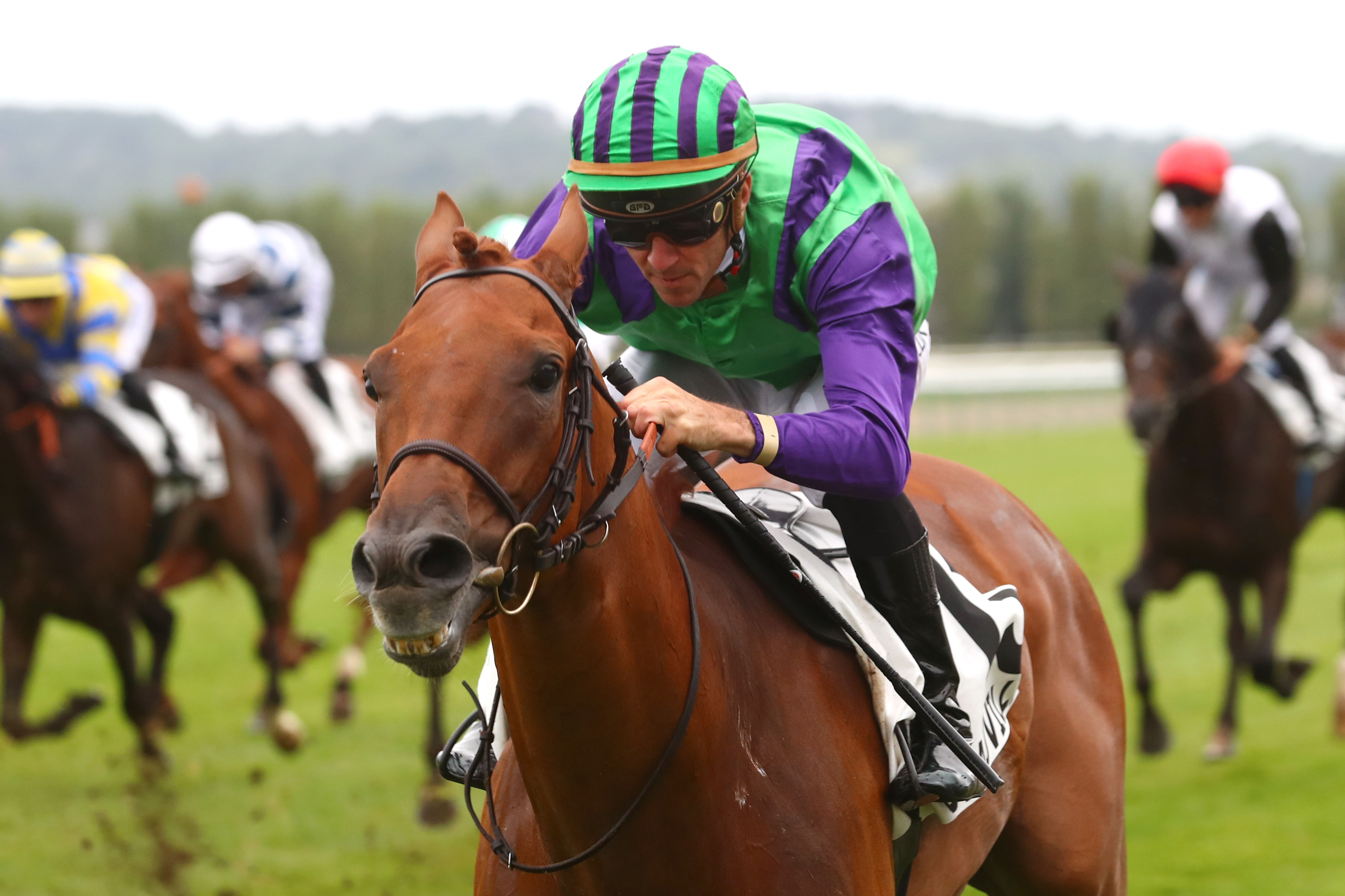 Deauville (Calvados), le 6 Août 2024. Crowddfunding enlève son premier quinté et prouve son retour au premier plan après une longue absence.  SCOOPDYGA - CHOURAQUI Elliott