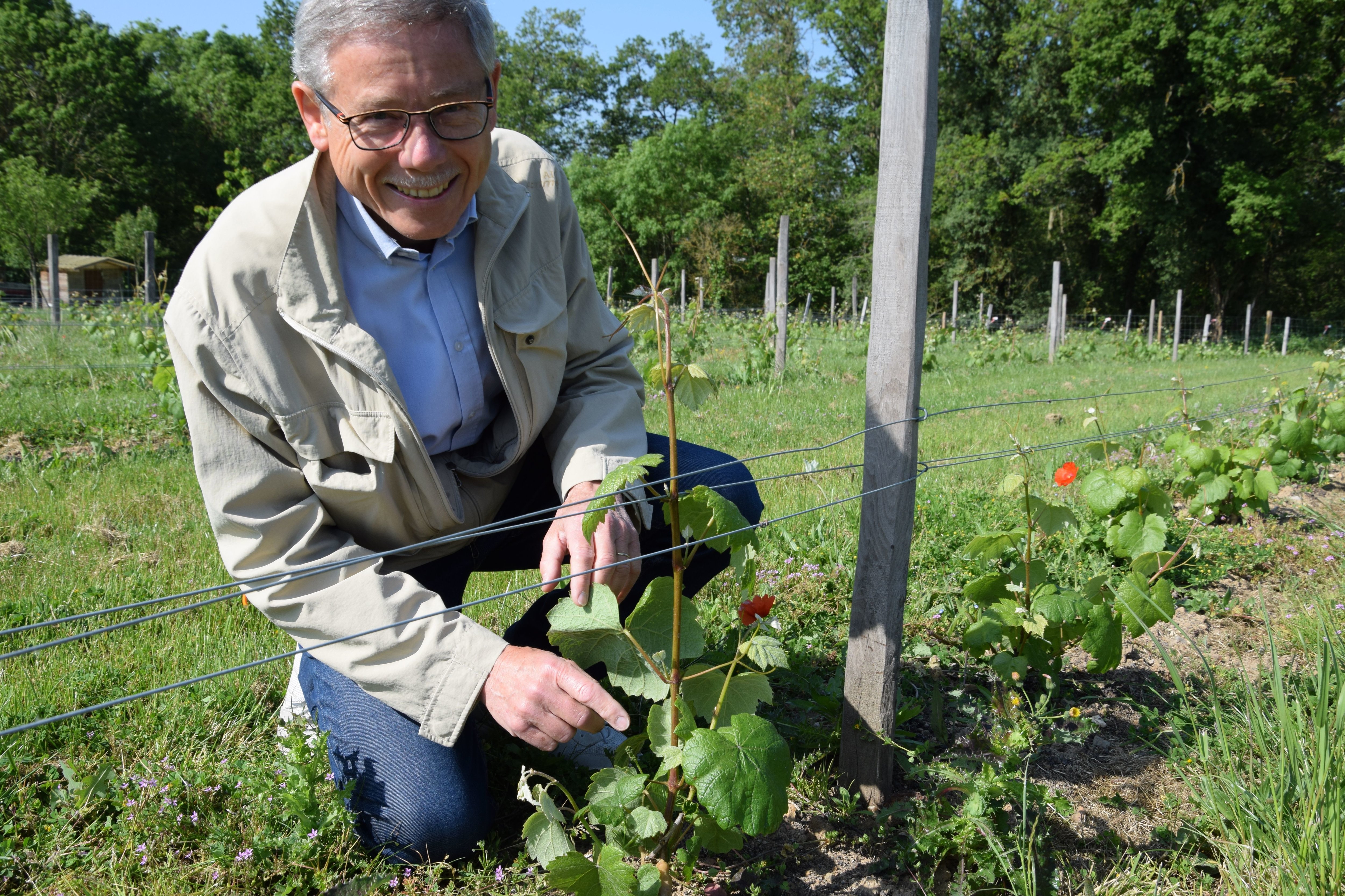 François Mebs, président de l'association de La vigne de Lèves, organise la première Fête de la vigne, samedi 3 juin 2023. LP/Christophe Blondel