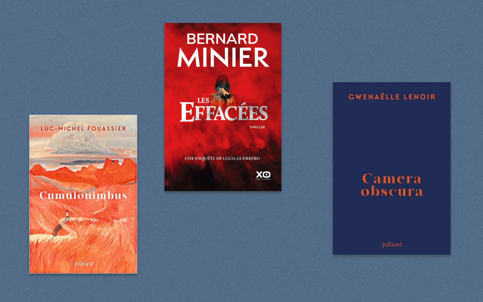 Parmi les ouvrages à ne pas manquer, « Cumulonimbus » de Luc-Michel Fouassier, « Les Effacées » de Bernard Minier, « Camera obscura », de Gwenaëlle Lenoir. Le Parisien-DA/DR