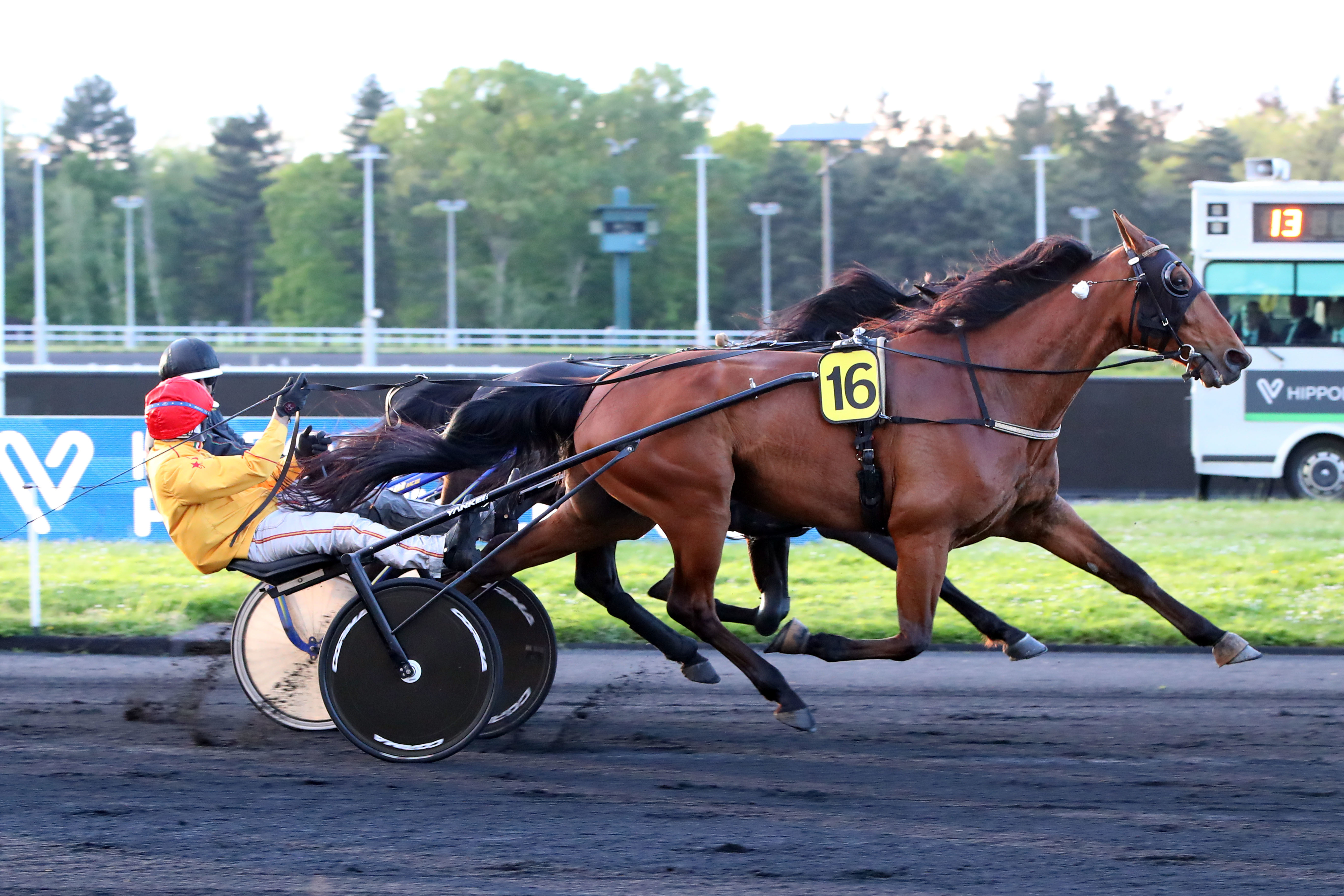 Paris-Vincennes (XIIe), le 3 Mai 2024. Global Agreement (n° 16) domine Héraldique (à la corde) et remporte son premier quinté. SCOOPDYGA - CHOURAQUI Elliott