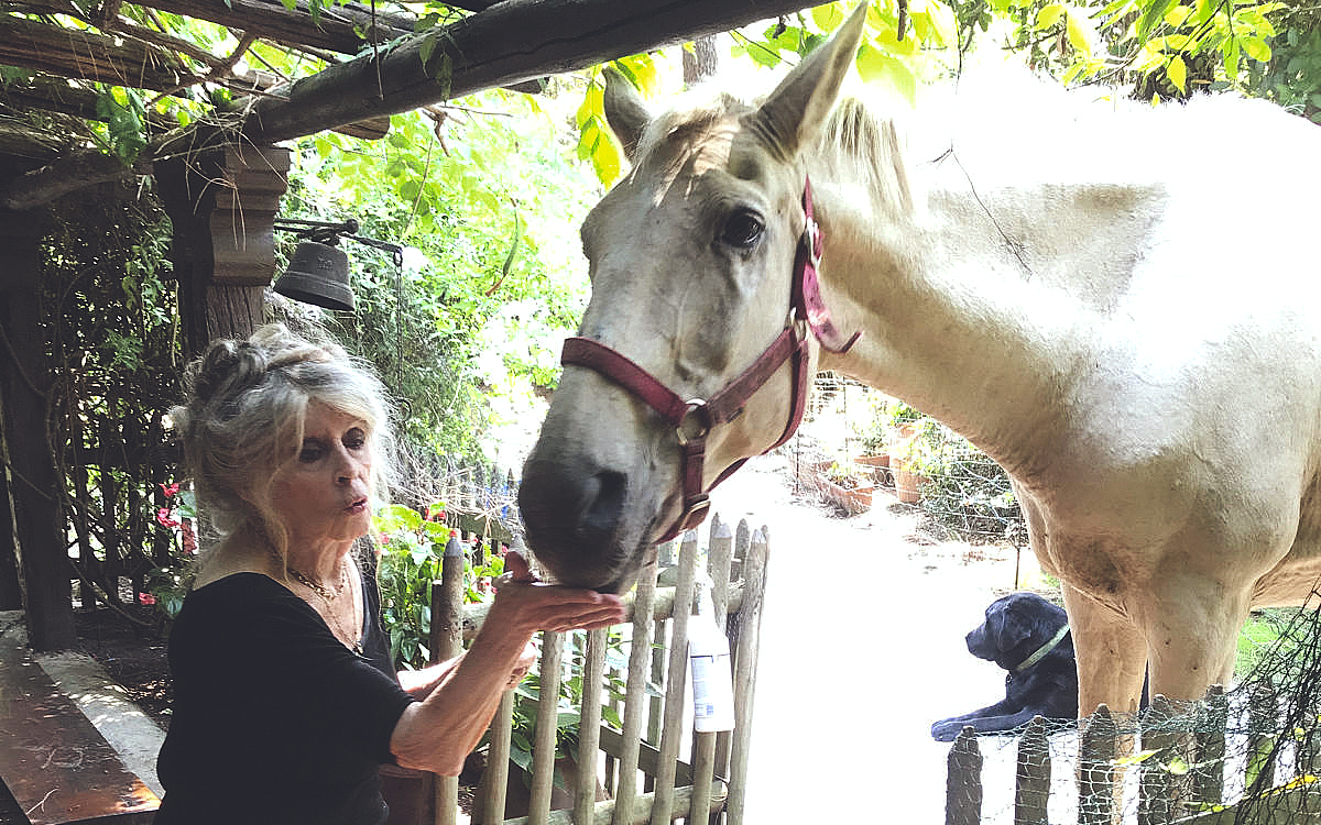 Brigitte Bardot : «Je n'ai pas gagné mon combat pour la cause animale» - Le Parisien