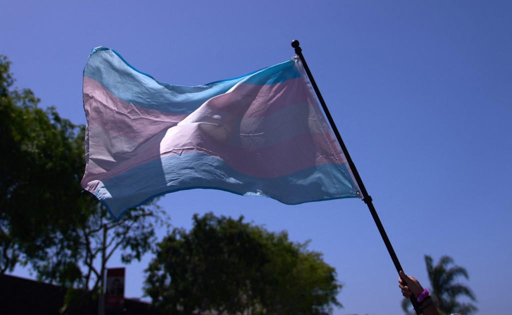 Plus de 800 personnalités du monde politique, culturel et associatif appellent à défiler en signe de soutien aux personnes transgenres. (Illustration) AFP/ALLISON DINNER