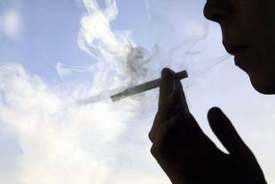 La nicotine fait maigrir... la souris