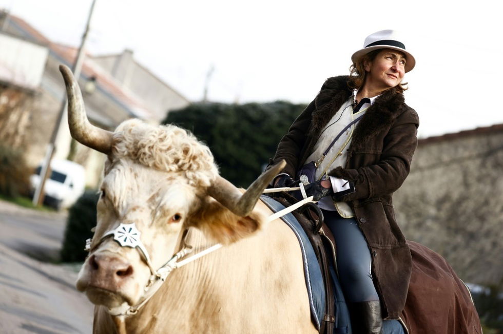 Fouet De Dressage Cowboy - 28 Pouces - Cuir Blanc - Fait Main - Équitation Western