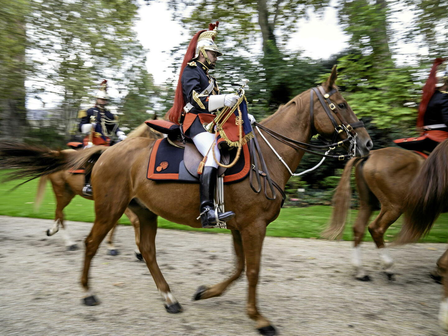 Starlux / Armee Etrangere : Armee Suisse : Rare Soldat A Cheval