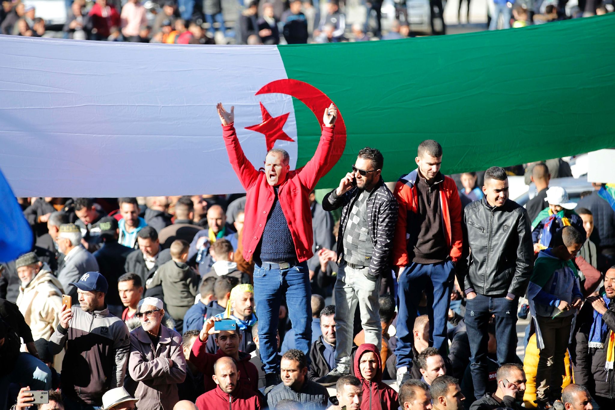 Veste de course de drapeau d'Algérie
