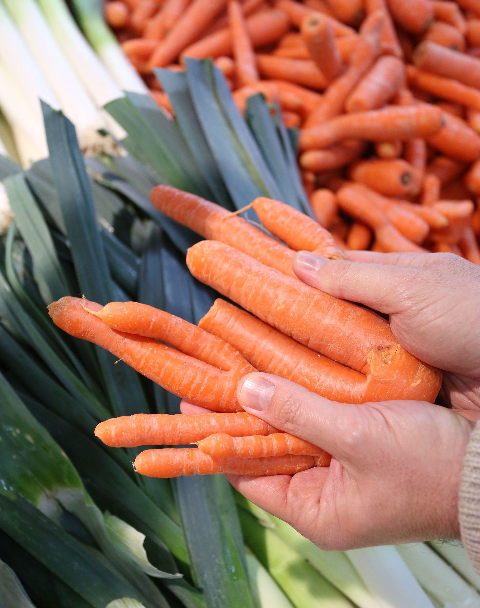 Intermarché lance les légumes moches en conserve