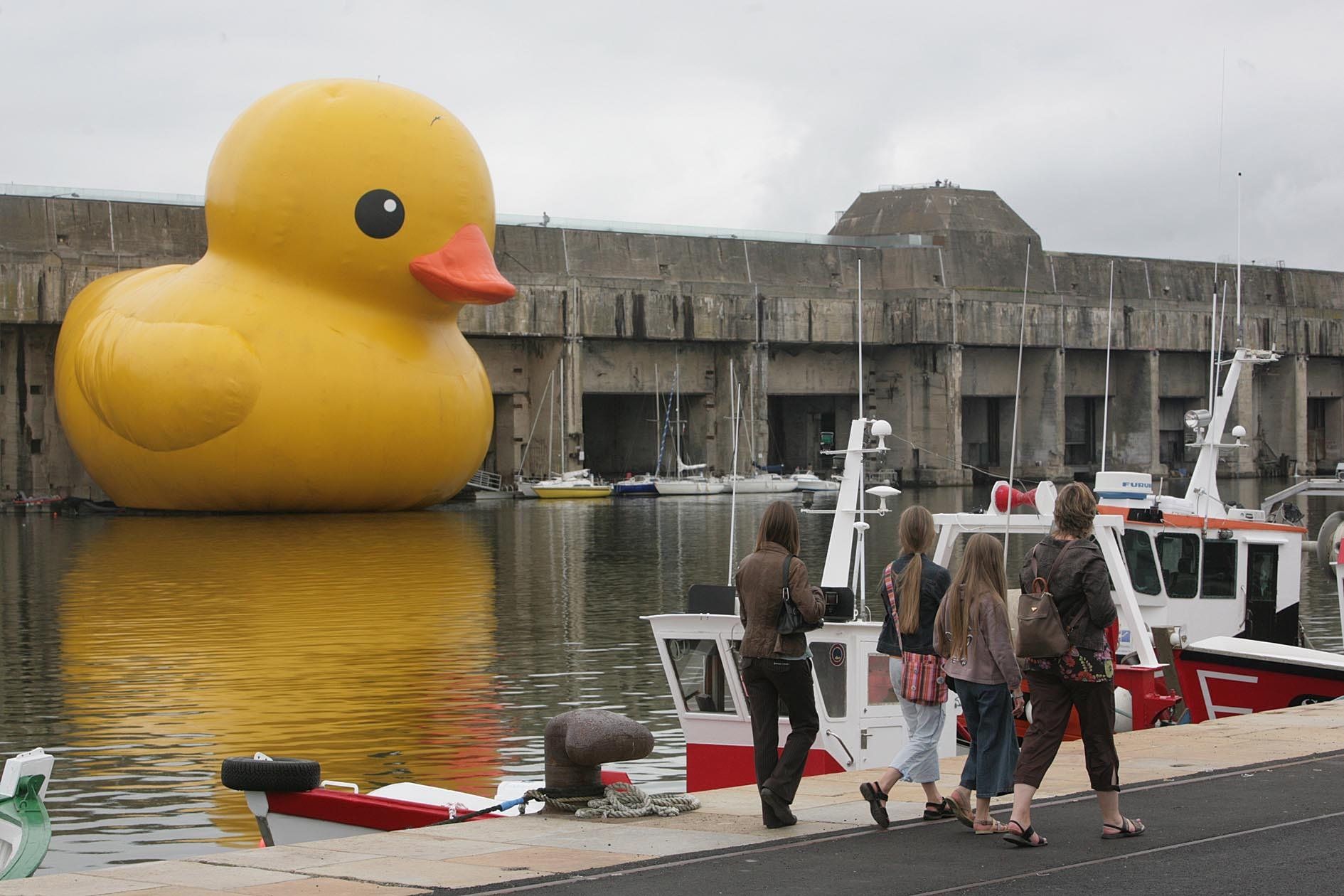 Amboise : une Duck Race sans canard en plastique dans la Loire