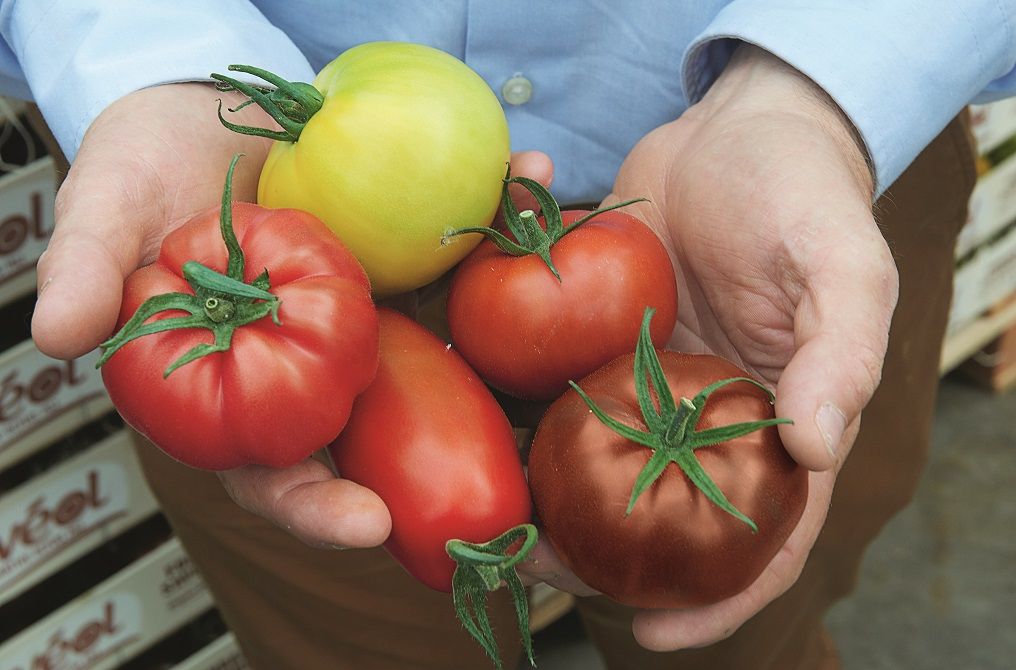 Tomate Cerise Multicolore - Les Paniers de Didier