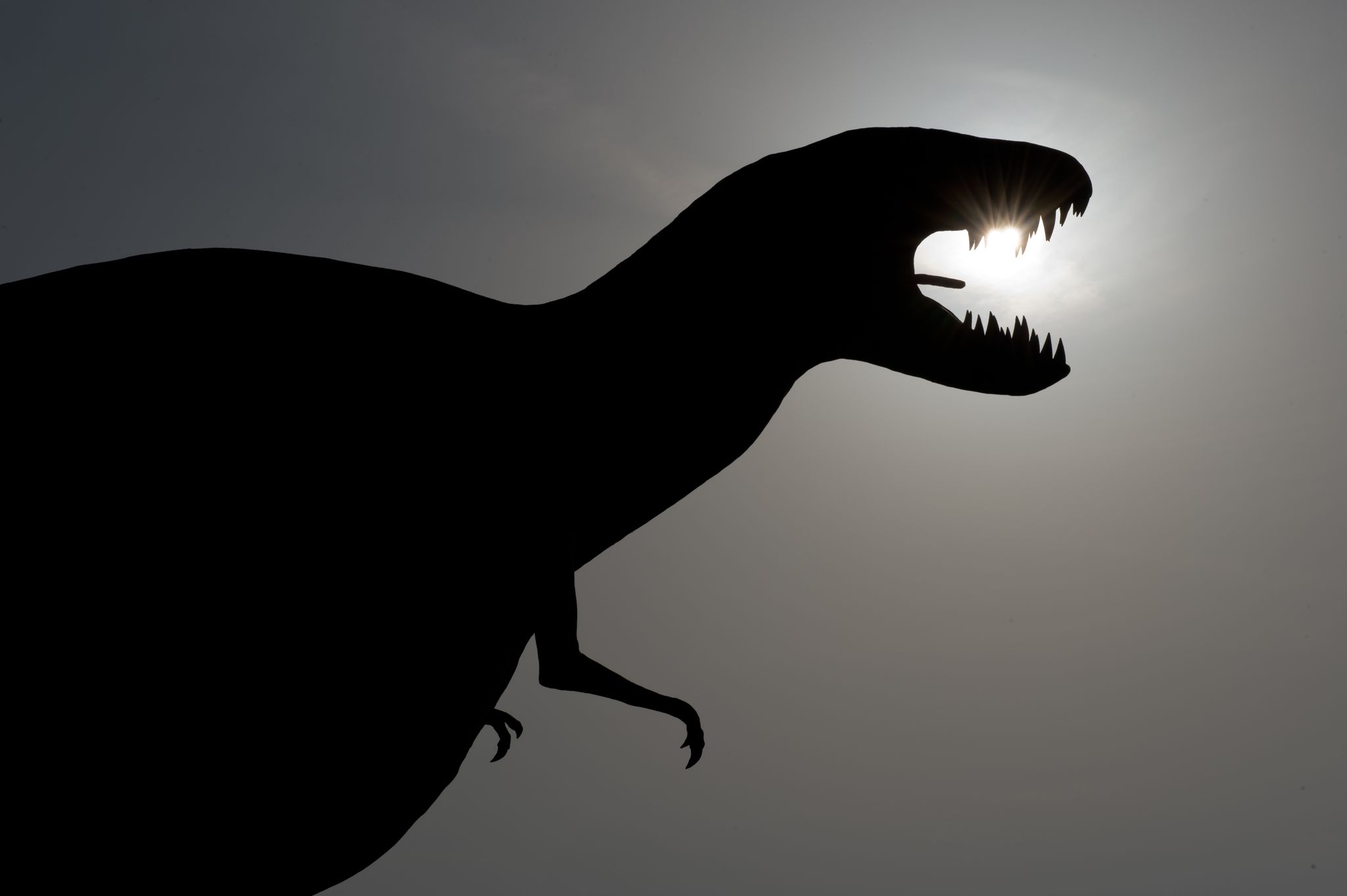 Des scientifiques ont résolu le mystère de ce dinosaure extraordinaire