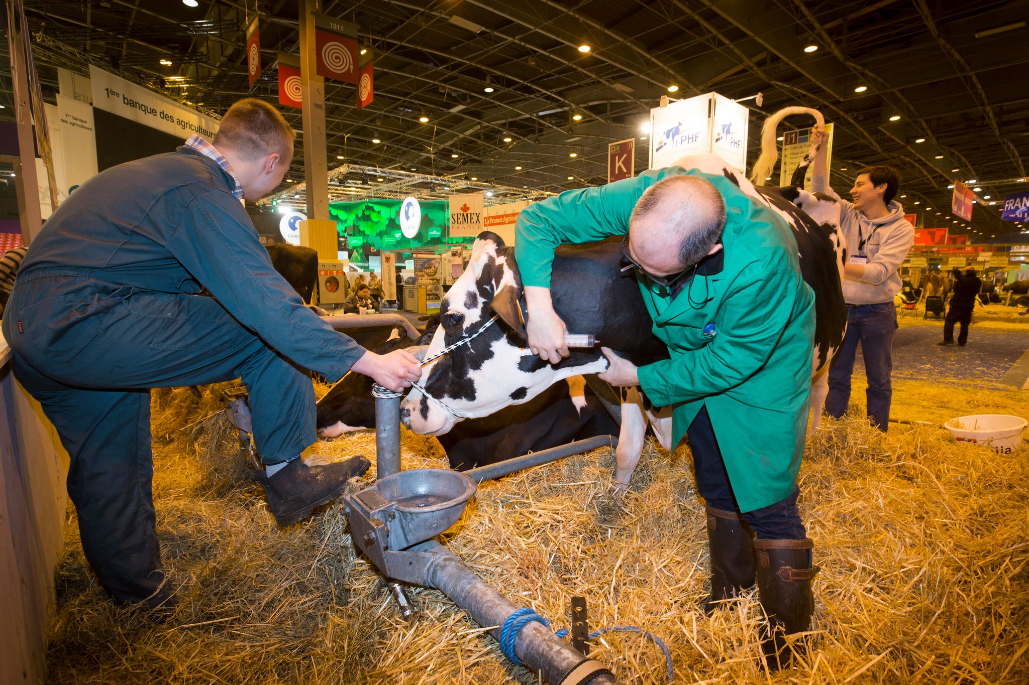 Salon de l Agriculture le v t rinaire entre