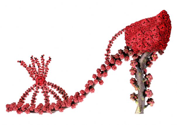 Bouquets de souliers – L'Express