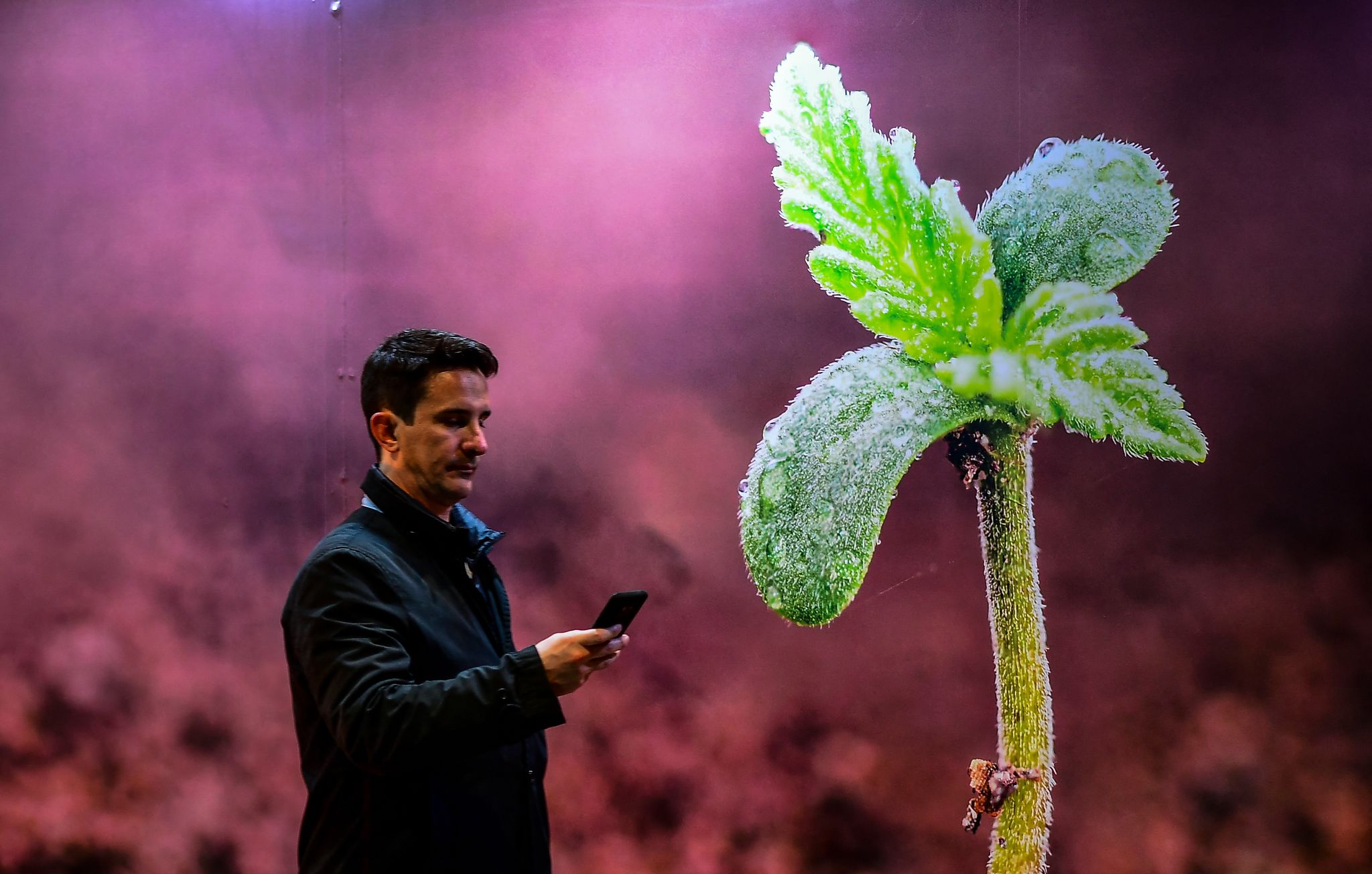 Dépistage cannabis : bientôt un test salivaire à la place d'une