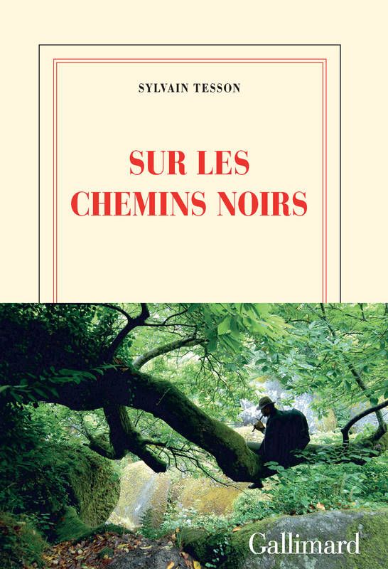 Sylvain Tesson, le vagabond du sommet des classements