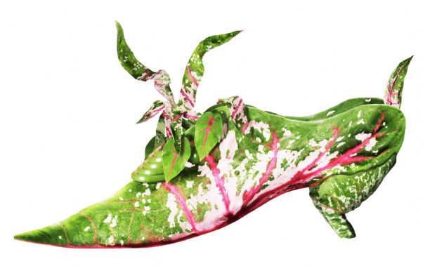 洋書 Bouquets de souliers Michel Tcherevkoff de Bouquets 洋書 souliers 9781599620367 Fantasy: Footwear A Fleur