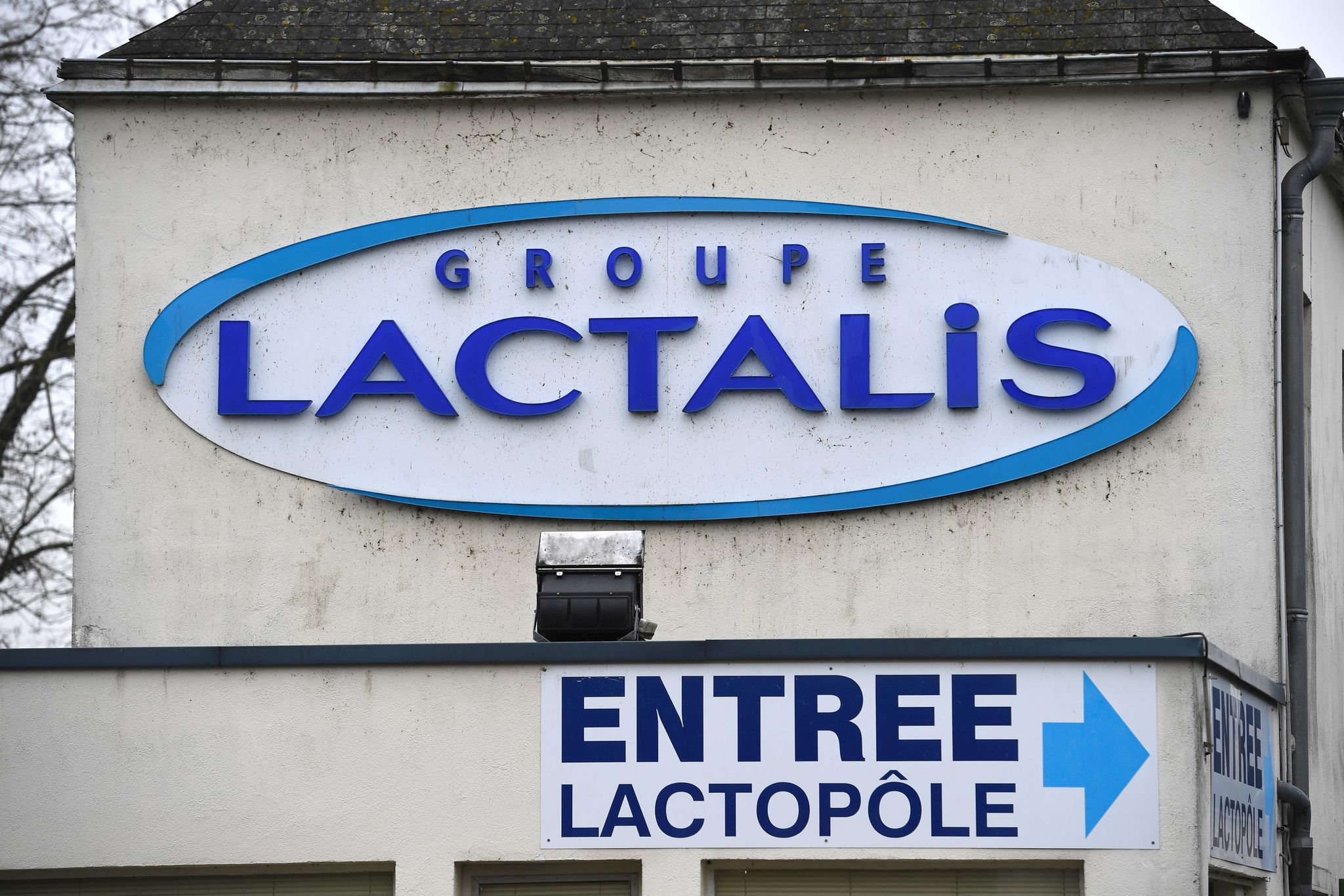 RECIT. Des premières salmonelloses aux excuses publiques de Lactalis, les  six semaines qui ont fait éclater le scandale du lait contaminé