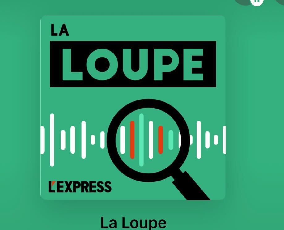 La Loupe de l'express logo