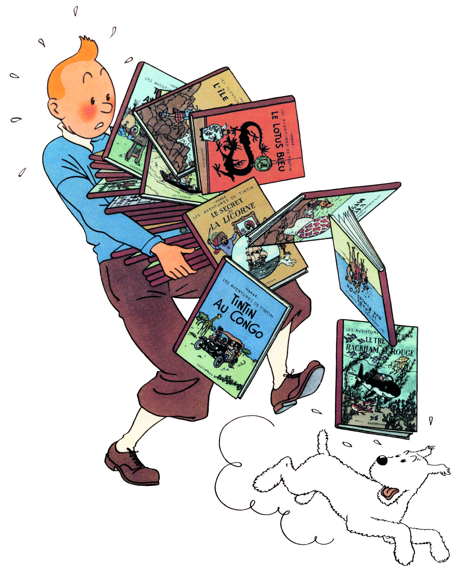 L'essentiel à propos de Tintin et Hergé