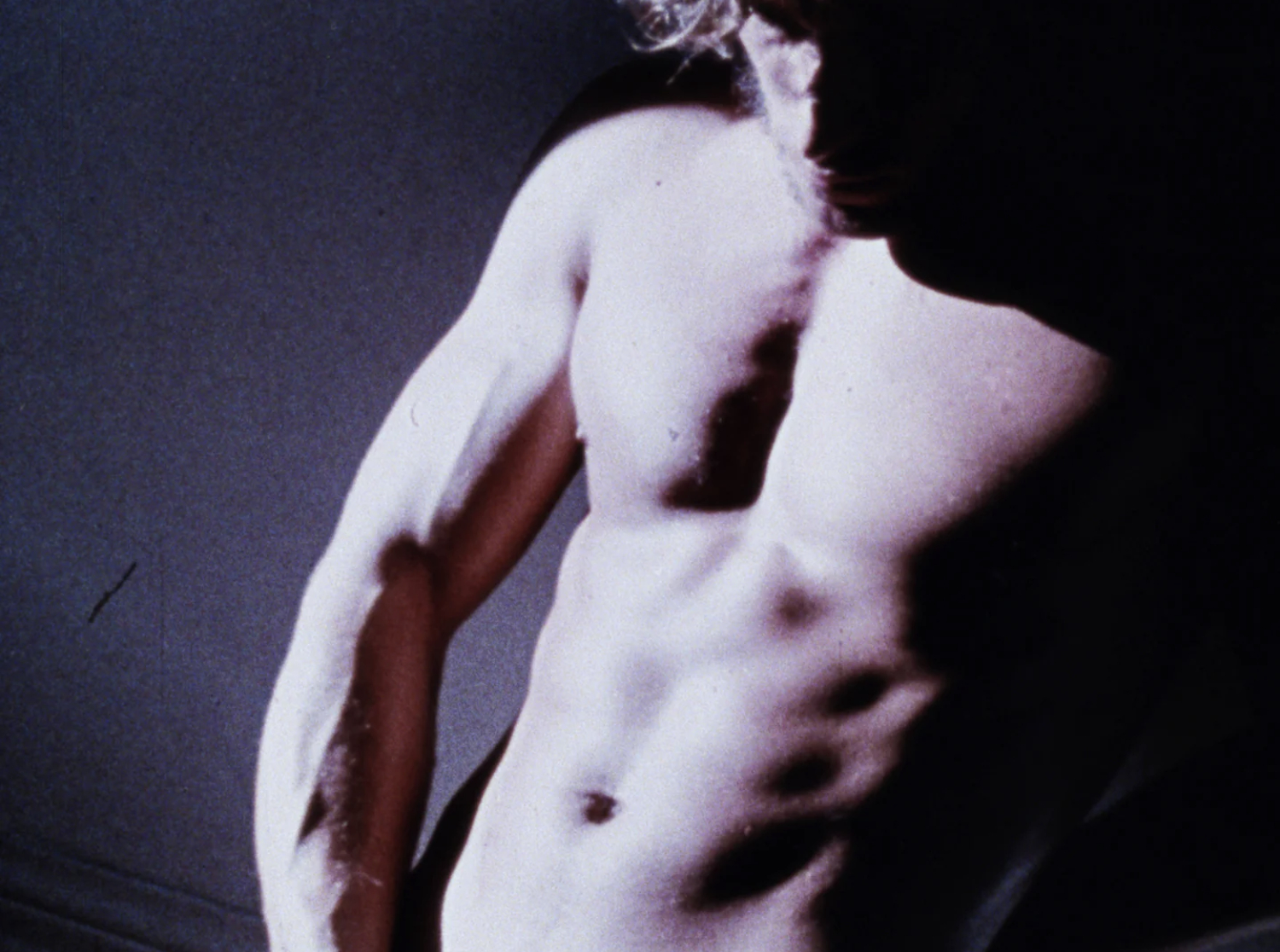 Fred Halsted, du porno gay au MoMA