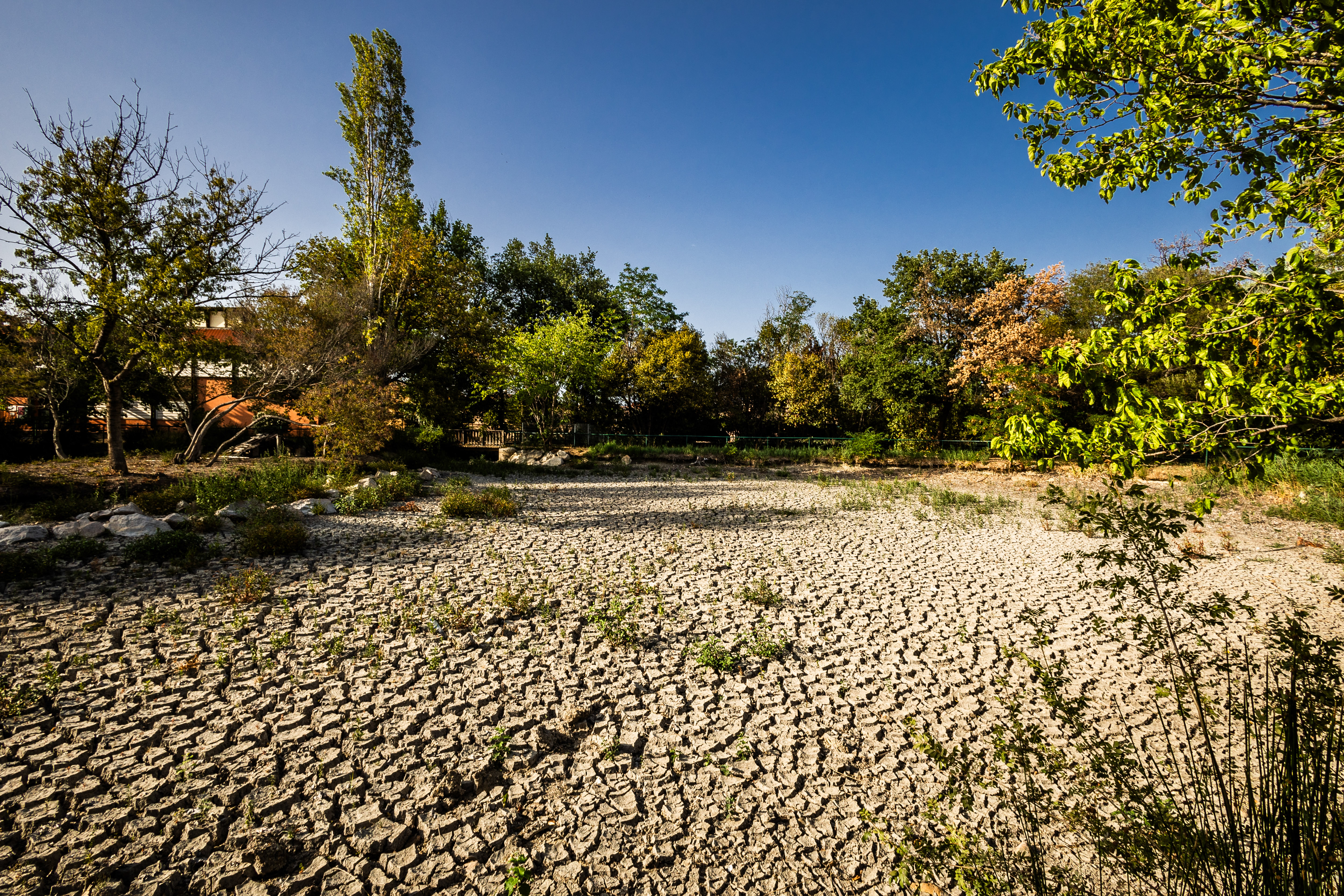 Tours : le directeur de la station Météo France décrypte la canicule