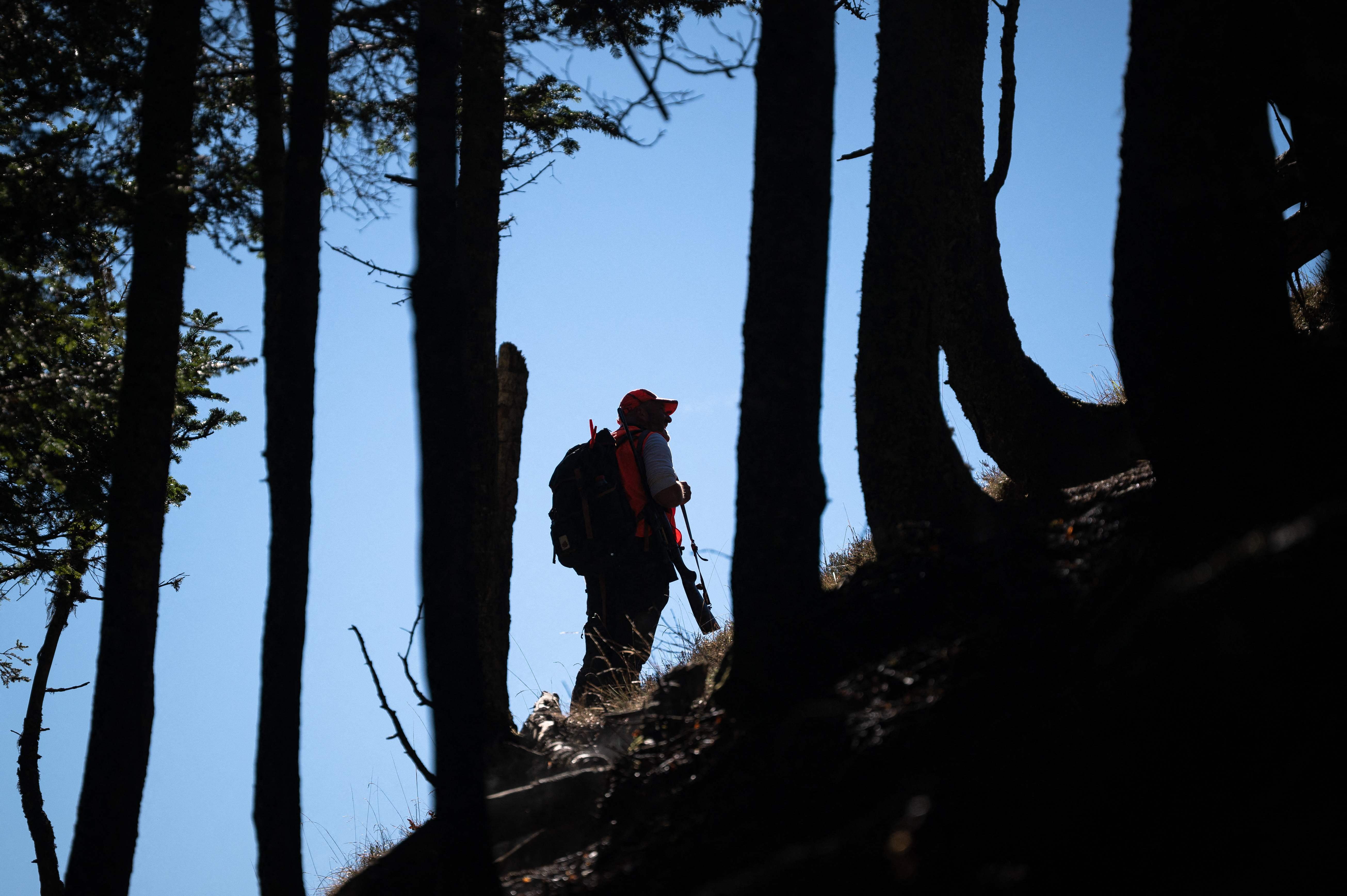 Interdire la chasse le dimanche? Le sujet divise : Femme Actuelle