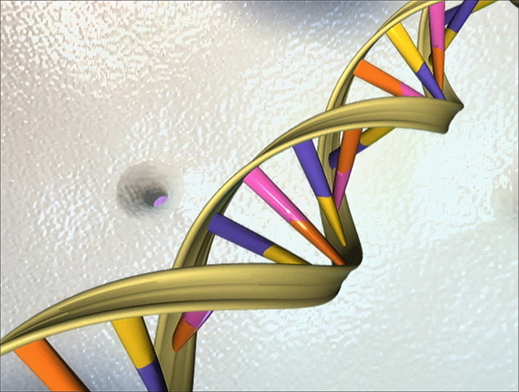 Jusqu'à quel niveau de précision les tests ADN peuvent-ils révéler nos  origines? – Libération