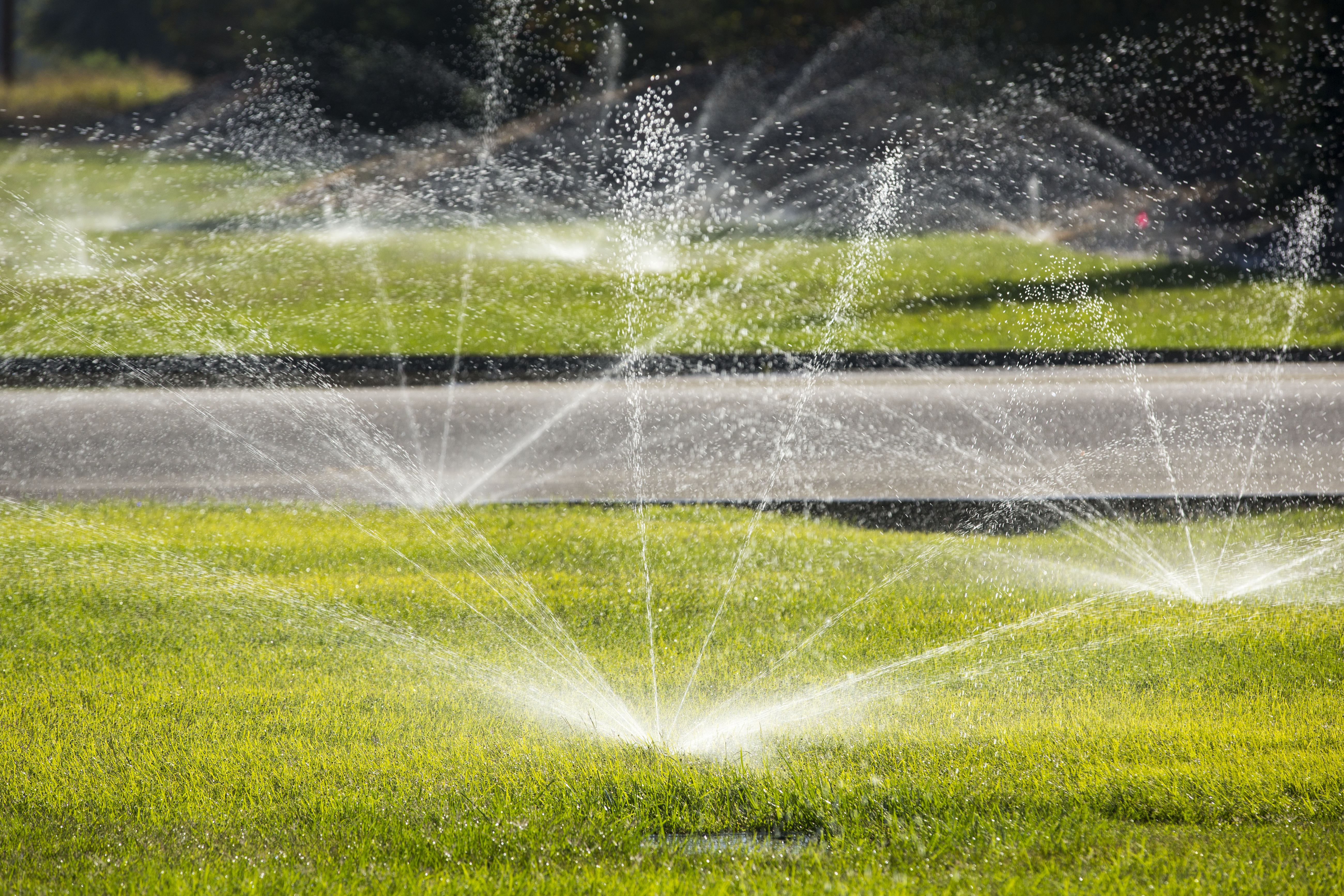 La règle d'or de l'irrigation du gazon