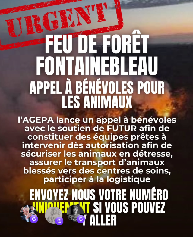 https://cloudfront-eu-central-1.images.arcpublishing.com/liberation/M5LYJQCK5JEOVNU3IKY435OCUQ.png