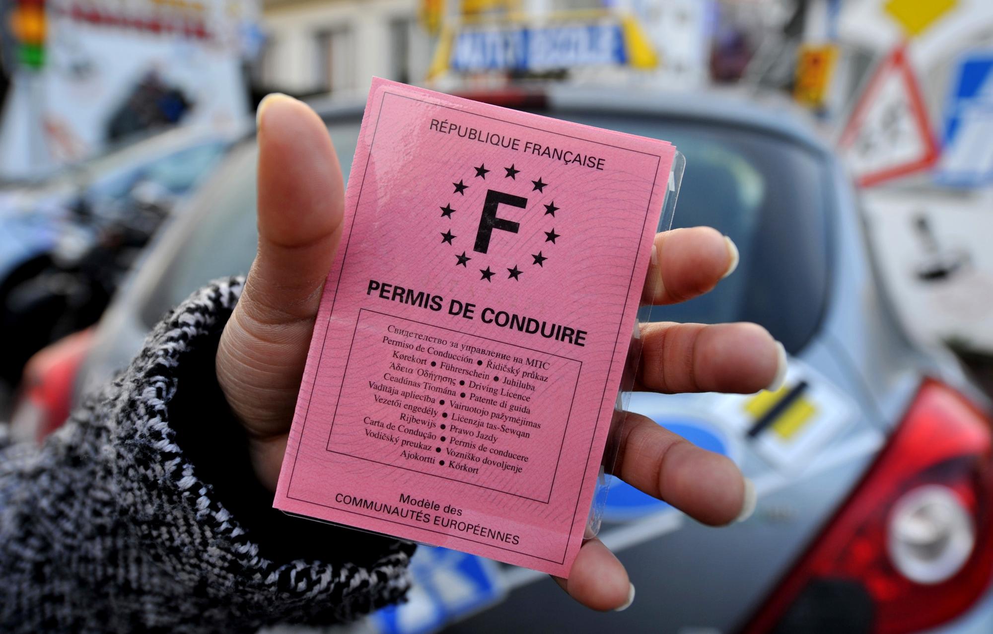 Le permis rose permettra-t-il de voter aux élections européennes ? –  Libération