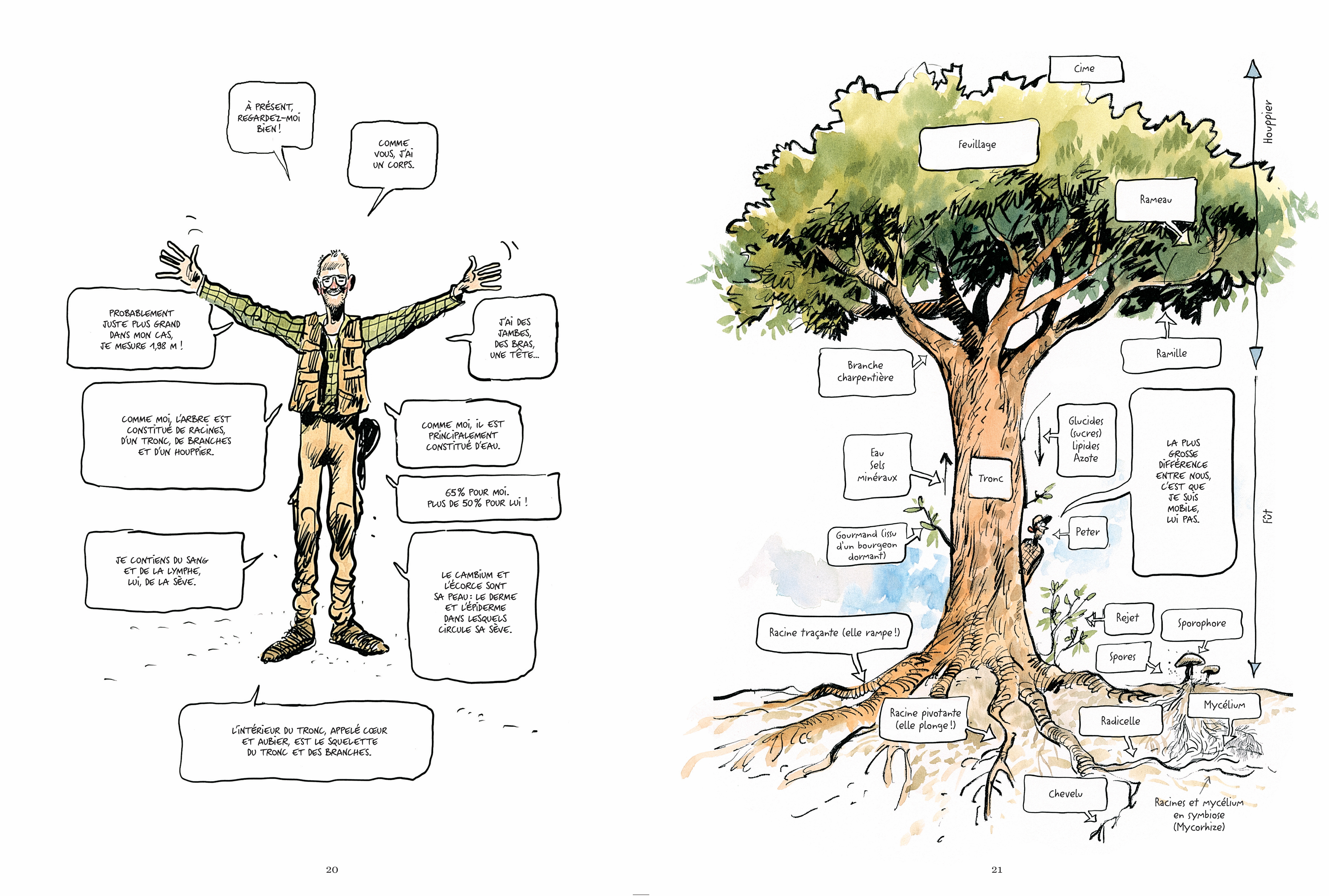 La Vie secrète des arbres, de Fred Bernard et Benjamin Flao: une