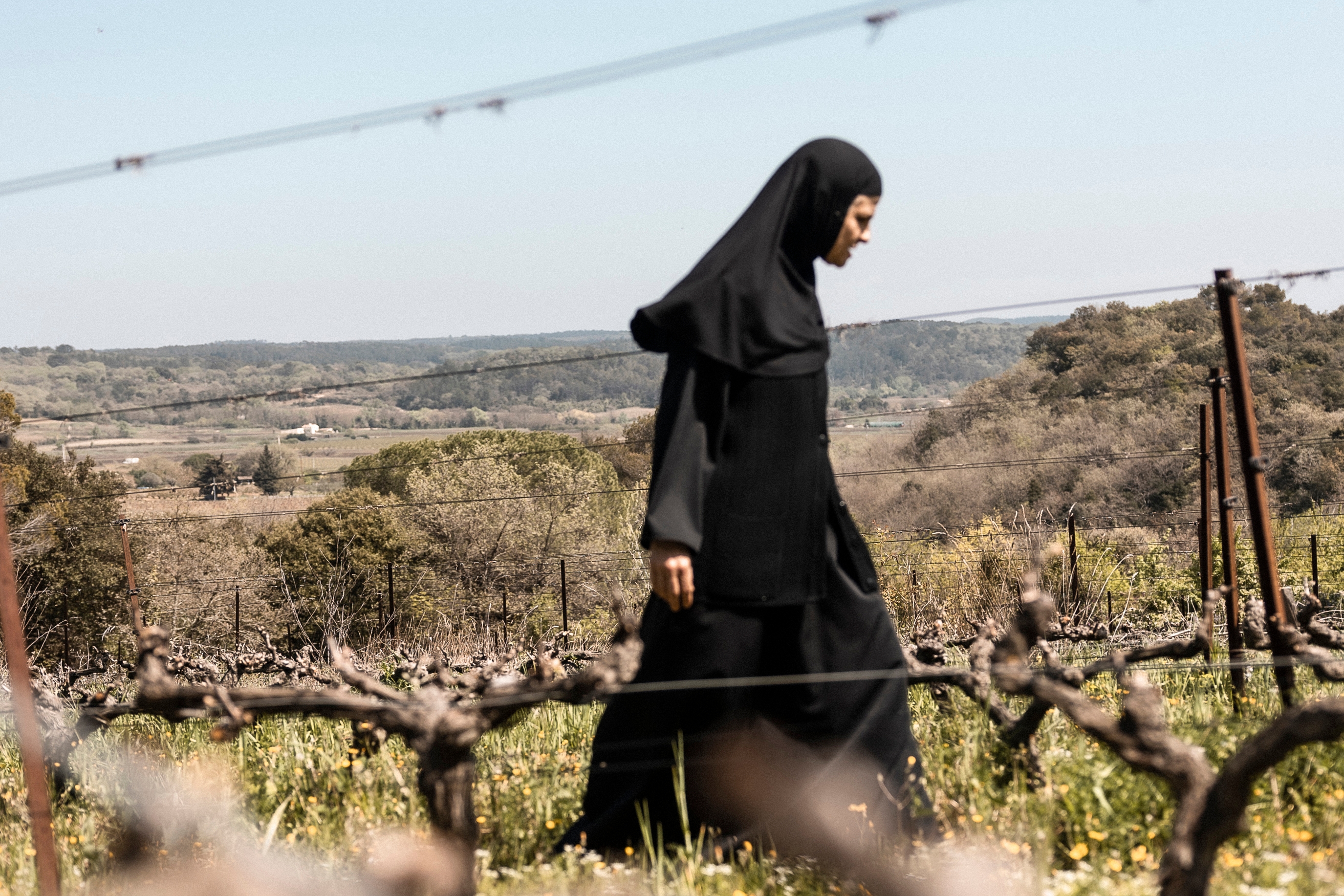 Nonnes et vigneronnes, divin sur vin – Libération