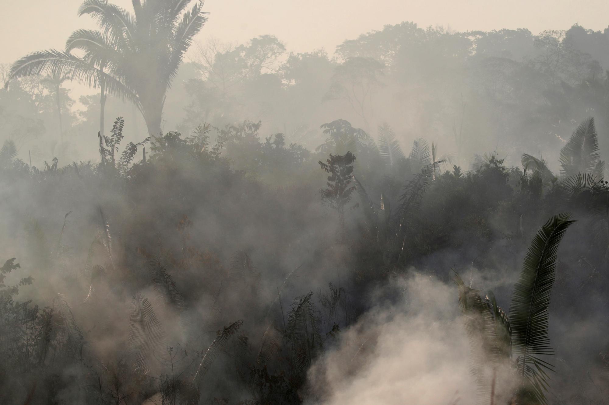 Est Il Vrai Que Les Images De L Amazonie En Flammes Sont Fausses Pour La Plupart Liberation