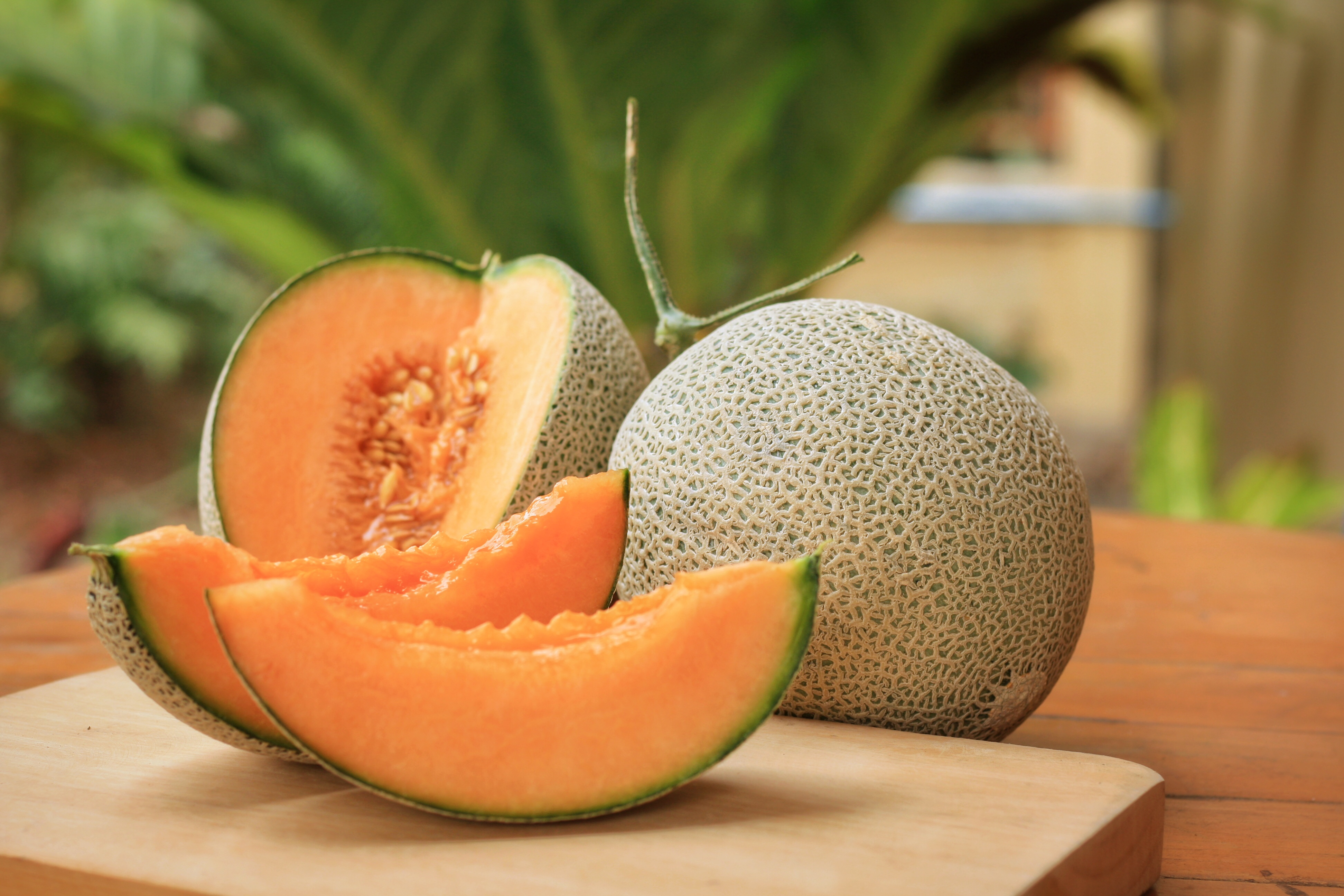 Peut-on qualifier le melon de fruit ou de légume ? Copyright (c) 2019 Kotcha K/Shutterstock.