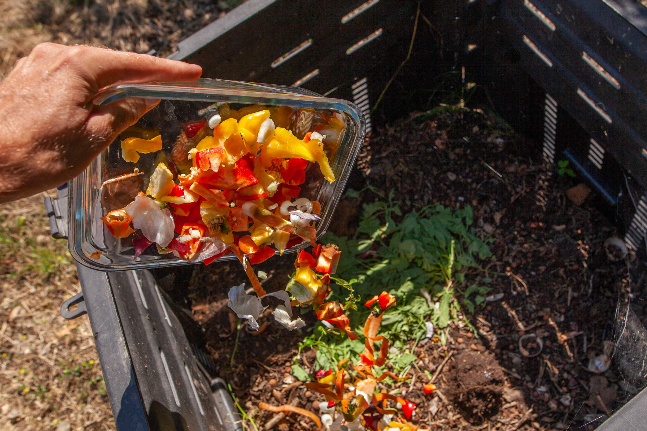 Compost obligatoire : comment dissimuler son bac pour en faire un