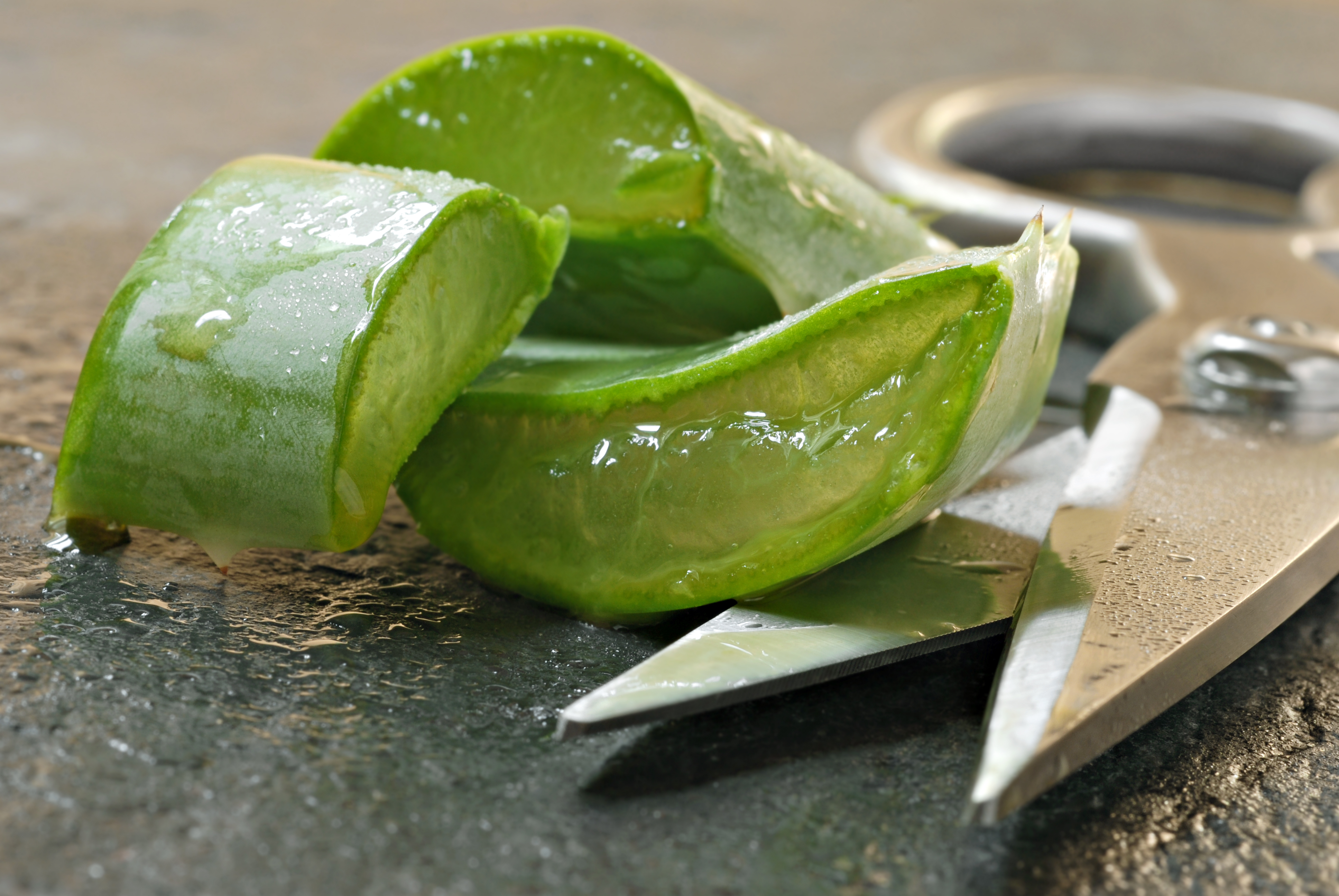 aloe vera pflanze gel gesicht Dr. Spiller Cooling Aloe Vera Gel 150ml - Beautymanufactur Mannheim main image 0