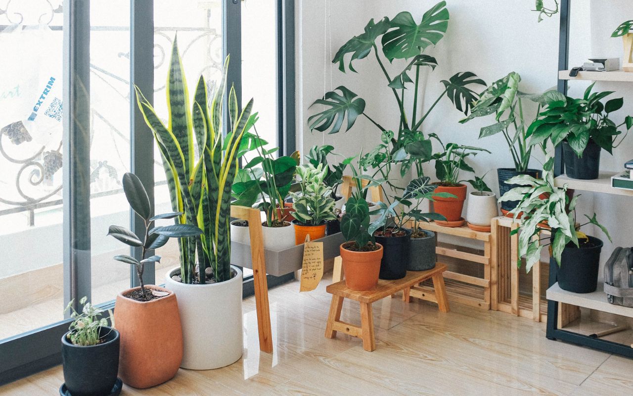 15 pots pour sublimer vos plantes d'intérieur - Elle Décoration