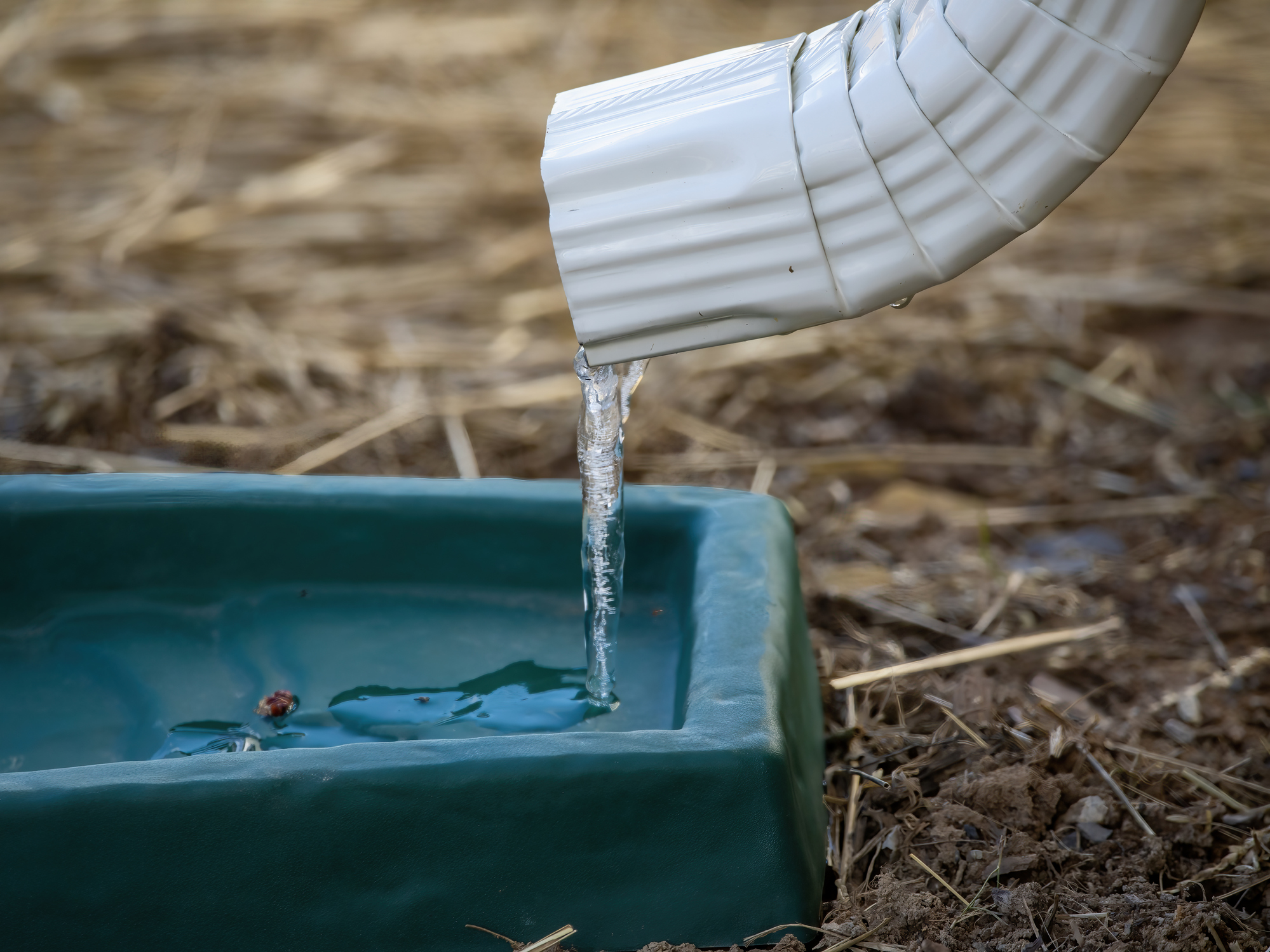 La récupération de l'eau de pluie est une pratique écologique mais réglementée en France. Copyright (c) Ali Majdfar/Istock.