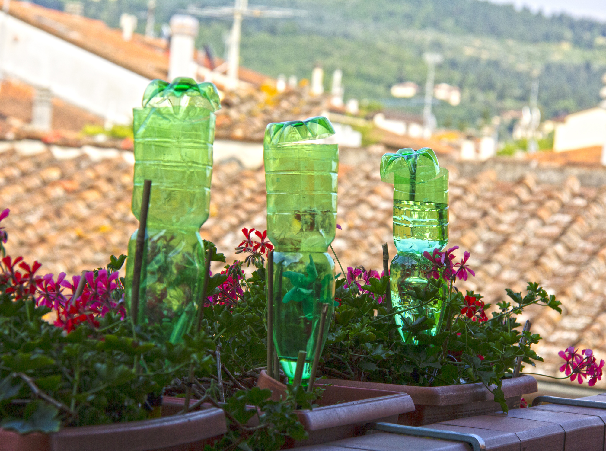 Découvrez quatre méthodes pour fabriquer un goutte-à-goutte facilement et rapidement avec des bouteilles en plastique. Copyright (c) Rafmaster/Istock.