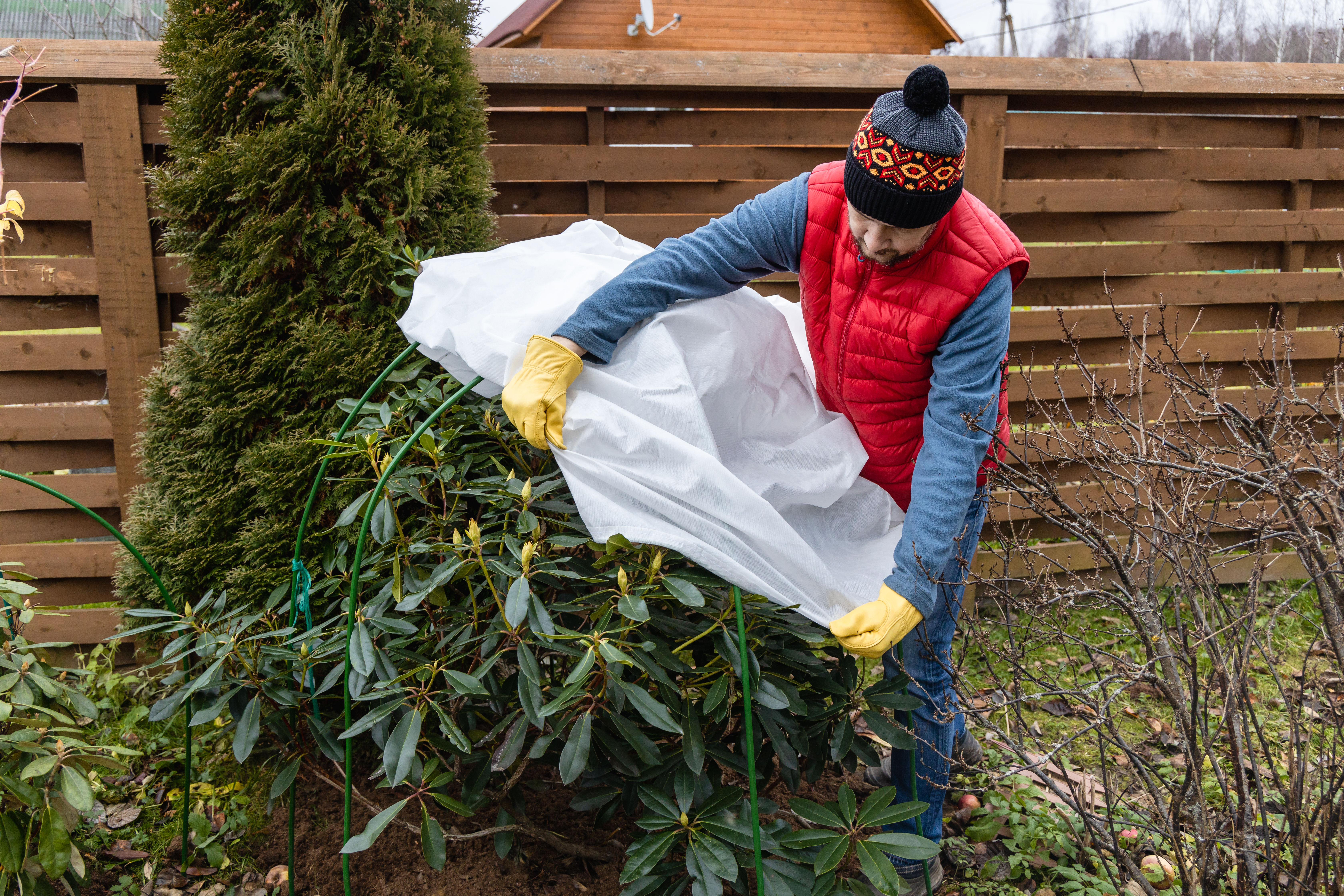 GARDENIX Toison Non-Tissée Hiver 50g/m² - 1,6 X 5 M (8 M²) - Protection Plantes Gel Et Froid